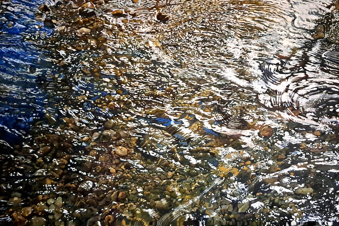 Reflections- Oil on Canvas - 48 x 72