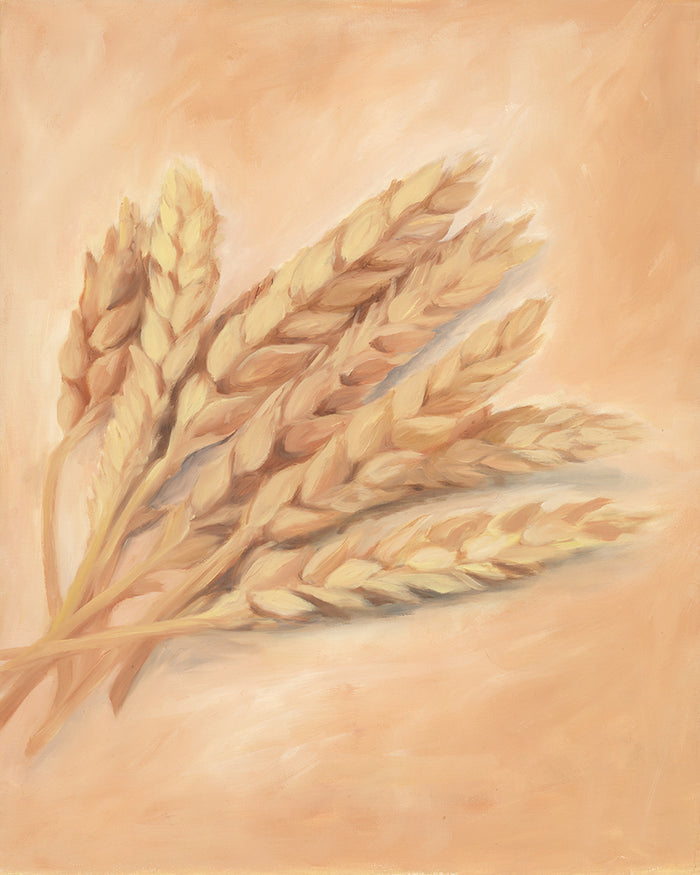 Wheat - Oil on Canvas - 16 x 20